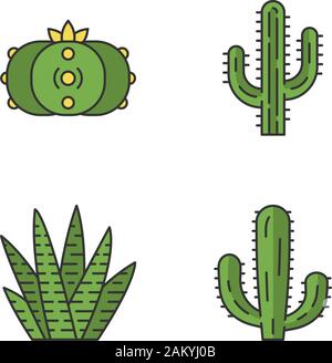 Wild cactus colore set di icone. Succulente. Collezione di cactus. Saguaro, peyote, gigante messicano e zebra cactus. Isolato illustrazioni vettoriali Illustrazione Vettoriale