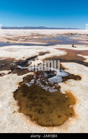 Il´s grande saltlake Salar de Uyuni, Dipartimento Potosi, Sud-Ovest della Bolivia, America Latina Foto Stock