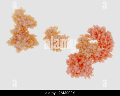 NEK7 chinasi che si lega a NRLP3 infiammabile, modello molecolare Foto Stock