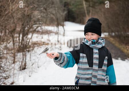 Ragazzo che nutriva un uccello di chickadee dalla sua mano in una giornata invernale. Foto Stock