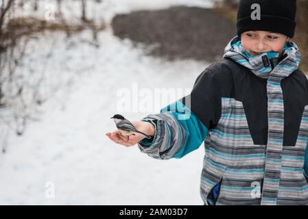 Un ragazzo che si nutre a mano di un uccello di chickadee in una giornata invernale innevata. Foto Stock