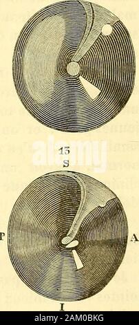 Traité d'anatomie topographique avec le applicazioni a la chirurgie . Foto Stock