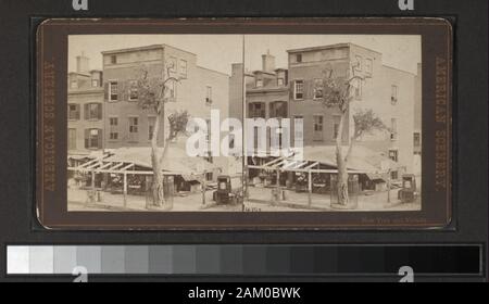 Stuyvesant Pear Tree, NE angolo, xiii & 3rd Ave, NY City include viste da D. Barnum, G. W. Pach, Underwood & Underwood e altri fotografi ed editori. Robert Dennis raccolta di vista stereoscopica. Le strade di Manhattan sotto 14th: Bowery, incluse le viste delle elevate, Broad Street, Canal, Centro Chataham Square Park Row, Nassau; Elizabeth, Hester strade e altre viste tenement compresi ambulanti, nuovi immigrati e neri di avvio al lavoro; Fulton Mercato e ponte di Fulton e Broadway; cinque punti; Park Place; la Stuyvesant Pear Tree al tredicesimo e 3rd. Ave.; UOMO Foto Stock