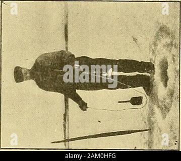 Skrifter - Det Kongelige Norske Videnskabers Selskab . Foto Stock