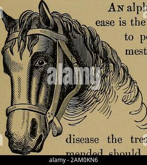 Gleason la mano veterinaria-book e il sistema del cavallo di taming .. . Sno di recupero ? Sangue-fitti e physicking arepowerful e agenti deprimente ; tanto che, whencarried in qualsiasi misura, pochi, se tutti gli animali, dall'littlepower che può essere lasciato, curare se stessi. È thisknowledge che consente Homceopathists per continuare theirpractice; per se non fosse per questo potere in constitu-zione in ogni animale, Homceopathists sarebbe havelong poiché ha cessato di praticare la loro peculiare arte. Se farmersand proprietari di cavalli e bovini cessano solo per effettuare lo spurgo, 38 INTRODUZIONE. e versare il nostr Foto Stock