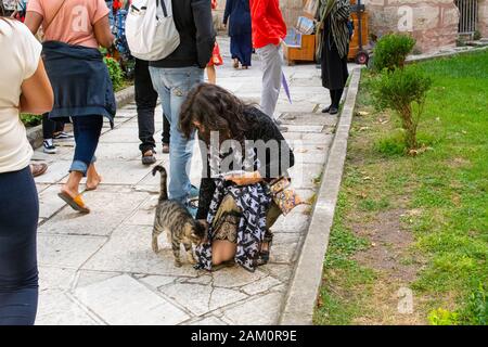 Un turista femminile con una sciarpa di gatto sulle fermate per accarezzare un gatto randagio al museo di Hagia Sophia a Istanbul, Turchia. Foto Stock