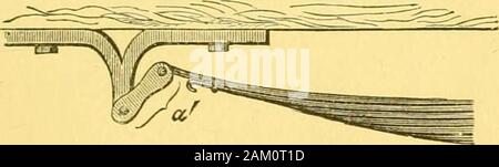 Cavallo e uomo : la loro reciproca dipendenza e doveri . lo zoccolo nowcomes prima di noi. Al fine di evitare estenuanti thebrain e midollo spinale e in ogni fase è necessarythat zoccolo deve essere elastico. Come ho già accennato, la elasticità generale-città di tutta la trama è in gran parte dovuta alla modein che le articolazioni degli arti sono realizzati. Thepeculiar angolo in corrispondenza del quale la fetlock è impostato ha anche aninfluence sull'elasticità e i cavalieri wellaware che quando il pastern è troppo montante essi feeljarred ad ogni passo. Angolo del FETLOCK. Ho sempre tentare di mostrare come le mans invenzione-zioni, specialmente i Foto Stock