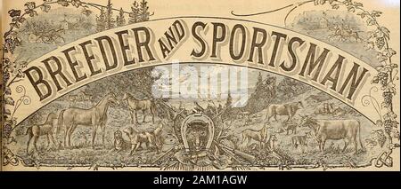 Allevatore e sportivo . SAN FKANCISCO, Sabato, Dicembre 26, 1896. Vol. XXIX. N. 26n. 313 Bush Street. SUBSCRIPTIONTHREE DOLLARI YEAH i malati Stock Rider. La morte di Nutwood. Tenere duro, Ned ! Sollevare me down una volta di più e mi laici nell'ombra. Il vecchio uomo, avete avuto il vostro lavoro tagliati per guideBoth cavalli e di tenere a me in sella quando ho ondeggiato tutti attraverso il caldo, lento, assonnato, silenzioso ride.L'alba a Moorabinda era un rack di nebbia opaca e densa, il Sunrise era un cupo, lampada lento;I sonnecchiava nel gateway a Arbuthnots boundry recinto, ho sognato sul calcare bovini camp.Abbiamo attraversato Foto Stock