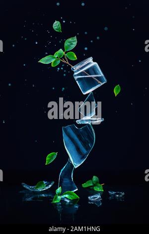 Vaso in vetro con piante verdi che si equilibrano su una pila di barbe, concetto creativo di primavera Foto Stock