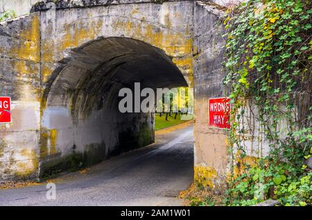 Stretta strada locale con un traffico di sola andata, passando sotto un vecchio ponte di cemento ad arco con pareti pelate e musicate, cespugli di frutti di bosco Foto Stock