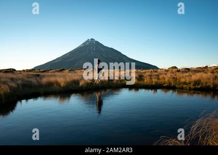 Escursioni sul circuito di Pouakai con viste mozzafiato del Monte Taranaki Foto Stock