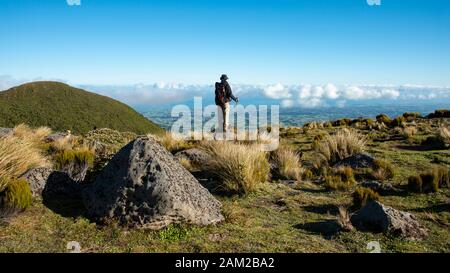 Escursioni sul circuito di Pouakai con viste mozzafiato sulla costa di Taranaki Foto Stock