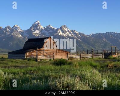 la mattina presto, vista di un fienile di mormon e della grande montagna di teton nel wyoming Foto Stock
