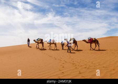 Camper caravan nel deserto del sahara, carovana di cammello va lungo le dune di sabbia, Marocco Foto Stock