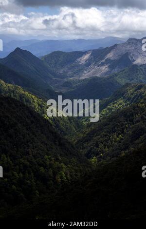 Camminando lungo il sentiero Old Ghost Road, Lyell fino a Seddonville, Nuova Zelanda. Vista a nord da Skyline Ridge verso l'area dei vigneti Foto Stock
