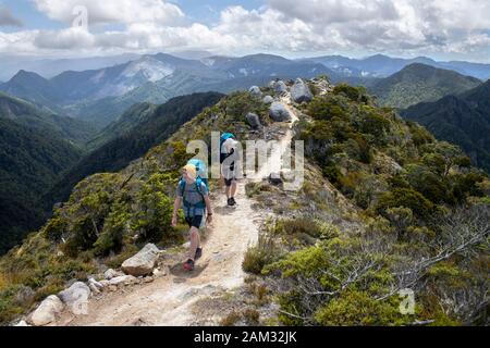 Camminando lungo il sentiero Old Ghost Road, Lyell fino a Seddonville, Nuova Zelanda. Su Skyline Ridge Foto Stock