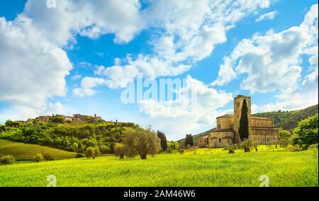 Il Sant'Antimo, Castelnuovo Abate Montalcino chiesa, alberi e campo di grano. Val d Orcia Toscana, Italia, Europa Foto Stock