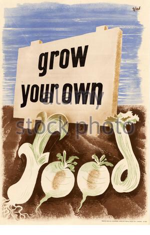 Crescere il proprio cibo - British World War 2 informazioni pubbliche poster di propaganda Foto Stock