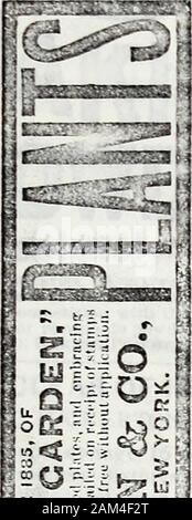 Amici" recensione di un religioso, opere letterarie e varie ufficiale . per la Germania;Robert McLane di Md. alla Francia; e Henry R.Jackson di Ga. al Messico e anche di Giuseppe S.Miller ofW. Va. per il Commissario delle Entrate Interne ; JohnC. Il nero di 111., Commissario delle pensioni; MartinV. B. Montgomery di Mich , Commissario di brevetti ;J. D.C.Atkins del Tennessee, il Commissario per gli affari indiani ha;Malcolm fieno di Pa., primo Assistente Postmaster-gen erale; ;e diversi altri ufficiali di diverse partono-zioni- Edward D. Clark di Miss, fu confermato asAssistant Segretario degli Interni sul 17esimo ma diedon il 23d, Foto Stock