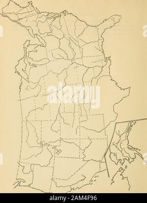Syllabus argomenti di storia americana per il settimo e ottavo gradi . 39 tredici Stati originali. Sul fronte mappa delineare i tredici Stati originali, notando che Massa-chusetts incluso Maine; che New York incluso Vermont; che entrambi Massachu-cubetti e New York rivendicato western New York. Visualizza la terra occidentale claimsof i membri nel 1783. Individuare in ogni Stato la sua città principale in quel momento. Note.. 41 Louisiana Purchase e nuovi membri. 1. Sul lato opposto al profilo della mappa: (a) stati originali, (b) la NorthwestTerritory, (c) gli stati ammessi tra il 1789 e il 1803. Scrivere il nome orabbrev Foto Stock