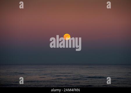 Southwold Suffolk England Regno Unito. La luna nuova, noto come il lupo Luna sorge nel tardo pomeriggio 10 gennaio 2020. La luna piena è la fase lunare quando la Luna appare completamente illuminata dalla terra della prospettiva. Questo si verifica quando la terra si trova tra il sole e la Luna (più esattamente, quando la longitudine eclittica del sole e della luna differiscono di 180°).[3] Questo significa che l'emisfero lunare rivolto verso terra - lato più vicino - è completamente soleggiato e appare come un disco circolare. La luna piena avviene approssimativamente una volta al mese. Felice stargazers catturate immagini sorprendenti il venerdì sera come la prima luna piena di Foto Stock