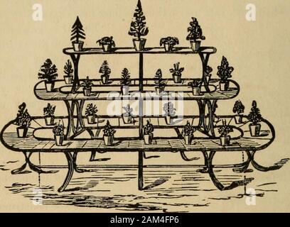 Finestra : giardinaggio appositamente dedicato alla cultura di fiori e piante ornamentali per uso interno e il salotto decorazione . Fig. 63. u OARDENING FINESTRA.. Finestra di giardinaggio. 75 Foto Stock