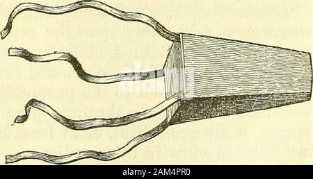 Nuovi elementi di chirurgia operativa . arrotondati, spettacolo-sagomato, (Fig. 65) o cuneiforme, (Fig. 66)adattato, in una parola per la parte che abbiamo desiderio di sollevare fino, 132 NUOVI ELEMENTI OP CHIRURGIA OPERATIVA. Avvolgere, o di supporto e, quando essi sono piccole, denominate coussinets. Articolo III.-splint. Già usato in epoche passate sotto il nome di ferule o eclisses,laminette ha acquisito una reputazione ottima sotto il patronato del RoyalAcademy della chirurgia e nella scuola di Desault. Essi arepieces di legno la cui forma sarebbe sufficientemente ben representedby una porzione del bendaggio. Destinati a mantenere in un sta Foto Stock