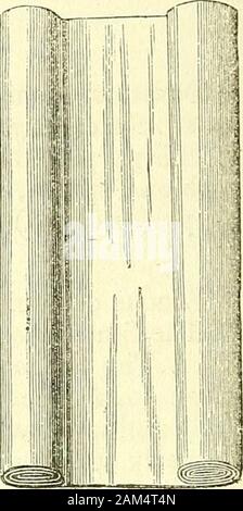 Nuovi elementi di intervento chirurgico . Ora, però, quando le medicazioni forfracture hanno subito una rivoluzione completa, è di essere hopedwe non devono più avere occasione di chiamare questi oggetti al nostro aiuto butfor certi tipi di medicazioni del tutto peculiare descrizione,e che non ho ora in esame. Articolo II.-cuscini, (Coussins.) Impieghiamo in chirurgia due tipi di cuscini, o stuoie, (paillassons.)talvolta dobbiamo collocare i cuscini sotto le parti malate o trala bed e altre porzioni della medicazione. Questi sono una specie ofpillows, riempito con la pula di avena; in un caso Foto Stock