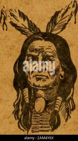 Syllabus argomenti di storia americana per il settimo e ottavo gradi . Pubblicato da Iroquois Publishing CompanySyracuse, N. Y. SYLLABUS argomenti di storia americana per il settimo e ottavo gradi con richiesta di mappe di contorno e Regents domande ambito. Questo libro offre la outHne topica e la mappa del lavoro richiesto inAmerican nella storia per il settimo e ottavo gradi come dato nel nuovo YorkState Syllabus. Regents esami. Gli esami nella storia sotto la newSyllabus vengono ristampate in questo libro. Le prossime edizioni conterranno queste fino finoal data di pubblicazione. Argomenti. La storia dovrebbe essere insegnato a Foto Stock