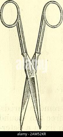 Nuovi elementi di intervento chirurgico . (Fig. 9.). Strumenti REaUIRED per la medicazione. 93 Necessità di. È a questi, abbiamo anche la possibilità di ricorso per la sezione dei tessuti che sono non essere diviso v^^c on il bistoury. Dobbiamo usare le forbici che sono curve sul piano della loro lame, togliere excrescent groM^ths che vogliamo le accise al surfaceof della pelle o nella parte inferiore di alcune cavità. Essi possono anche utilizzare proveof per la realizzazione di fori in taluni comprime e per dare forma aparticular ad alcune ferite. Come per le forbici che sono curve sui loro bordi, sono nowscarcely mai usato. In precedenza il Foto Stock
