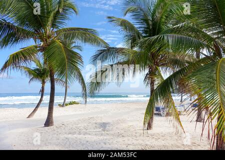 Una bella spiaggia di sabbia bianca caraibica coperta di palme con onde dal mare turchese dei Caraibi che si infrangono sulla riva Foto Stock