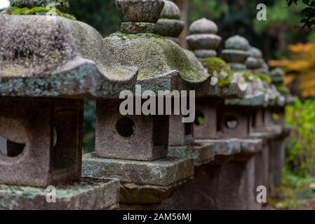 Giapponese lanterne tradizionali (Toro) nel tempio Gesshoji, Matsue, Shimane, Giappone Foto Stock