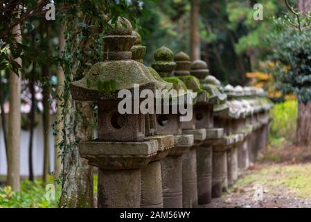 Giapponese lanterne tradizionali (Toro) nel tempio Gesshoji, Matsue, Shimane, Giappone Foto Stock