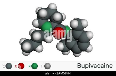 La molecola di bupivacaina è un anestetico locale a lunga durata d'azione di tipo ammidico. Modello molecolare. Rendering 3D Foto Stock
