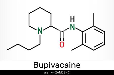 La molecola di bupivacaina è un anestetico locale a lunga durata d'azione di tipo ammidico. Formula chimica scheletrica. Illustrazione Foto Stock