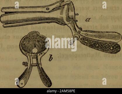 Physikalische Diagnostik und deren Anwendung in der Medicin, Chirurgie, Oculistik, Otiatrik und Geburtshilfe : enthaltend : Ispezione, misurazione, la palpazione, percussioni und auscultazione, nebst einer kurzen diagnosticare der Krankheiten der Athmungs- und Kreislaufsorgane . come,letztere jedoch weniger für die Explorationtauglich , als zur iniezione Flüs caustischer-sigkeiten. Ricords Speculum besteht aus zweirinnenförmigen conischen Blättern, deren ONU-teres Drittheil etwas nach aussen umgebogenist. Hier ist der untere Rand der Blätter durch ein Gelenk beweglich verbunden, damit nicht der empfind-lic Foto Stock