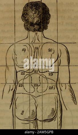 Physikalische Diagnostik und deren Anwendung in der Medicin, Chirurgie, Oculistik, Otiatrik und Geburtshilfe : enthaltend : Ispezione, misurazione, la palpazione, percussioni und auscultazione, nebst einer kurzen diagnosticare der Krankheiten der Athmungs- und Kreislaufsorgane . 8. Erklärung- der Abbildungen. Xr. 1 und 2. Obere Schlüsselbeingegend oder obere Lun-geugegend, da die Lungen das Eingeweide sind,das hier die Aufmerksamkeit besonders in Anspruchnimmt. Xr. 3. Sternalgegend. Darunter liegen die Bronchien, diegrossen Gefässe und ein Theil des Herzens. Xr. 4 und 5. Vordere Brust- oder Lun£en£egend Foto Stock