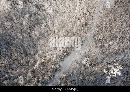 Veduta aerea del legno coperto da neve fresca, stagione invernale. Luce del tardo pomeriggio Foto Stock