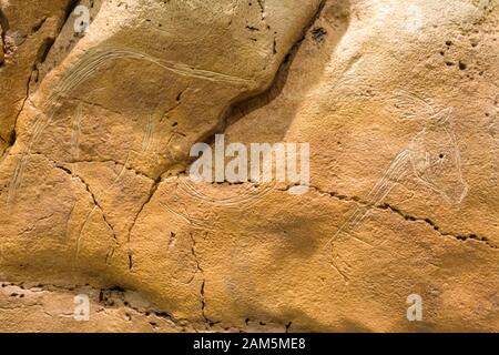 Disegno a cavallo a Neocave di Grotta di Altamira, Museo Nazionale e Centro di Ricerca di Altamira , Santillana del Mar, Cantabria, Spagna Foto Stock