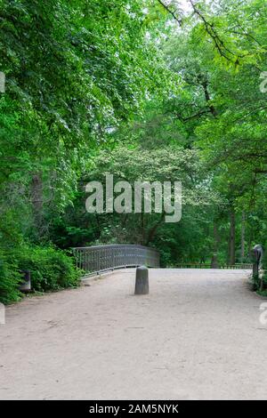 Il Tiergarten, a piedi attraverso il verde bellissimo parco nel centro di Berlino, il ponte sul fiume Foto Stock