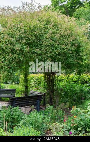 Il Tiergarten, a piedi attraverso il verde bellissimo parco nel centro di Berlino, panche per il riposo Foto Stock