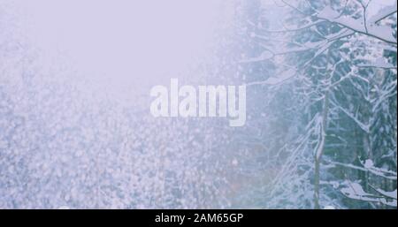Inverno il sole che splende attraverso nevicata con alberi in una fredda mattina. 4k a risoluzione Foto Stock