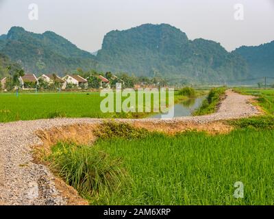 Pista ghiaiosa che conduce attraverso risaie con canale di irrigazione dell'acqua e vista delle montagne carsiche calcaree, Tam Coc, Ninh Binh, Vietnam, Asia Foto Stock