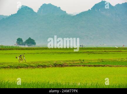 Parcheggiata vecchia bicicletta in risaie con vista sulle montagne carsiche calcaree in lontananza, Dong Tham, Ninh Binh, Vietnam, Asia Foto Stock