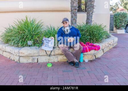 Un anziano mendicante femmina con il suo piccolo cane nascosto nel suo maglione con la testa fuori, supplica all'angolo della strada statale e Figueroa Foto Stock