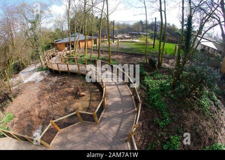 I nuovi sentieri in legno presso la Lotherton Hall di Leeds Foto Stock