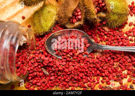 annatto seme rosso condimento arancio e colorazione alimentare derivato da acciote tree.bixa orellana è usato per fornire colore, sapore e aroma al cibo. Foto Stock