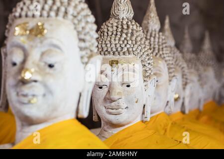 Fila delle statue del Buddha tailandese nel tempio buddista Foto Stock