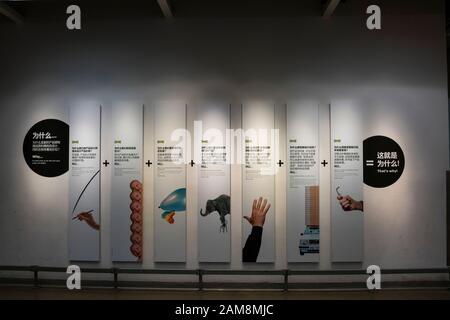 Nanshan District, Shenzhen, Cina, 4th, Marzo 2019. Shenzhen IKEA Mall, originario di una catena di magazzini nordici, vende mobili assemblati e un Foto Stock