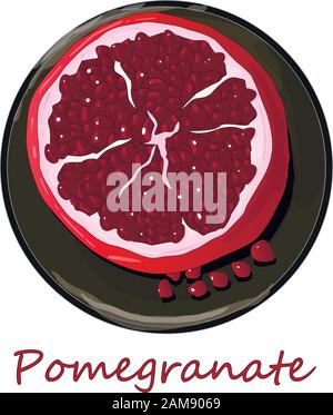 Immagine vettoriale di melograno a mano isolata su sfondo bianco. Illustrazione Vettoriale